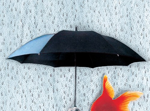 “La sete dei pesci”, il nuovo romanzo di Devis Bellucci, fisico, ricercatore e… autore sandwich